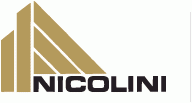 Nicolini Construction Ltd.  